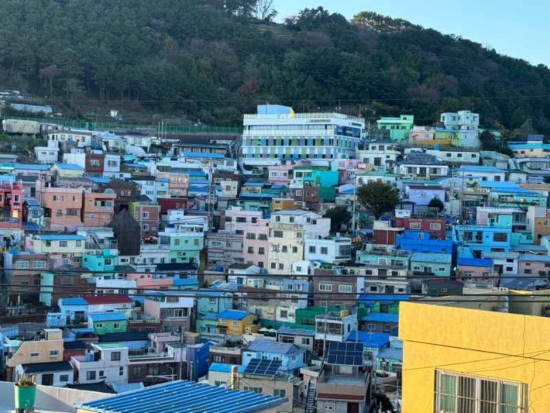 KakaoTalk_20241113_160111537_22 (1).jpg
